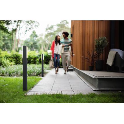 Philips - Spoljna stubna svetiljka 2xLED/4,5W IP44