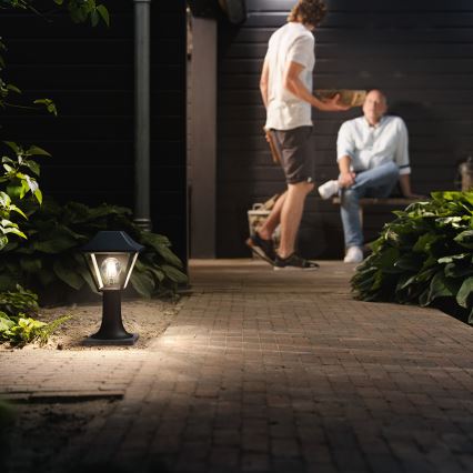 Philips - Spoljašnja lampa 1xE27/60W/230V IP44