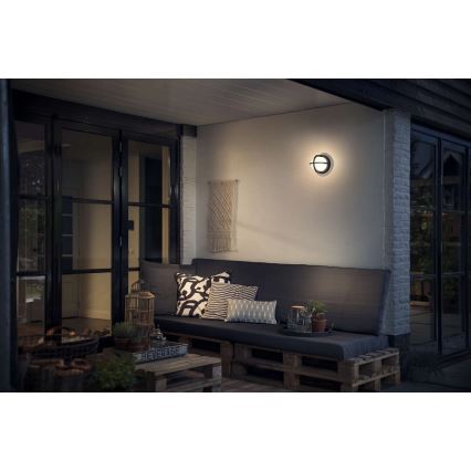 Philips - Spoljno zidno svetlo 1xE27/42W/230V IP44