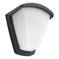 Philips 17383/93/PN - Spoljno zidno svetlo KISKADEE 1xE27/42W/230V IP44
