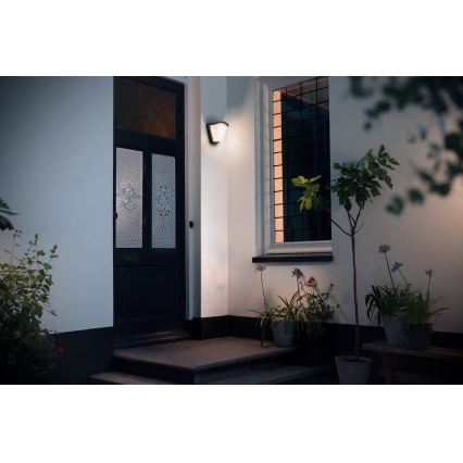 Philips 17383/93/PN - Vanjska zidna svjetiljka KISKADEE 1xE27/42W/230V IP44