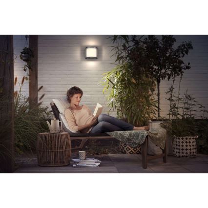 Philips - LED spoljna zidna svetiljka LED/12W IP44