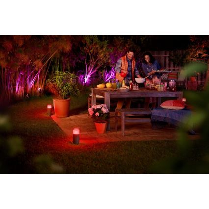 Philips - LED RGB spoljna spot svetiljka Hue LILY LED/8W/230V IP65