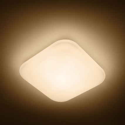 Philips - LED plafonsko svetlo LED/17W/230V 2700K