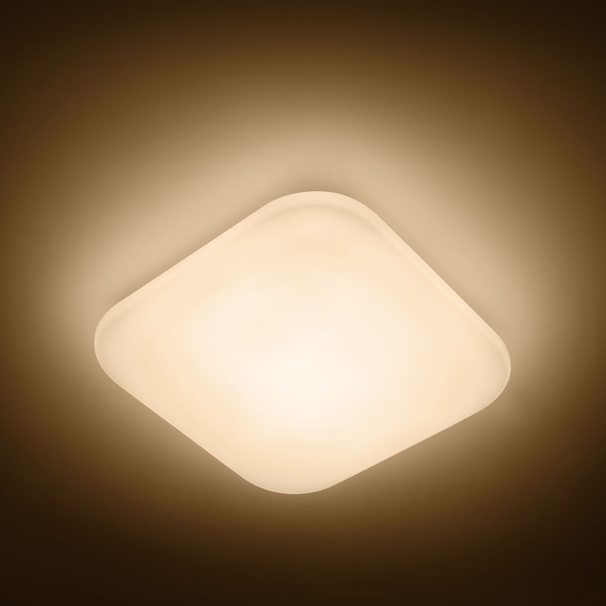 Philips - LED plafonsko svetlo LED/17W/230V 2700K