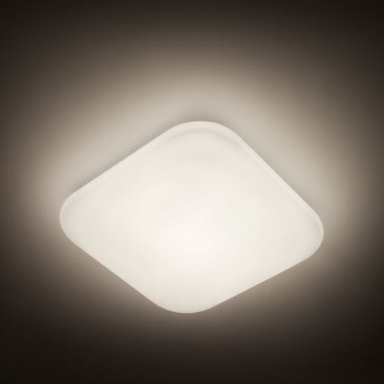 Philips - LED plafonsko svetlo LED/17W/230V 4000K