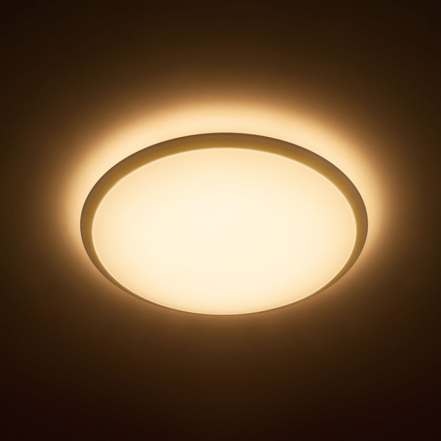 Philips - LED stropno svetlo 1xLED/17W/230V