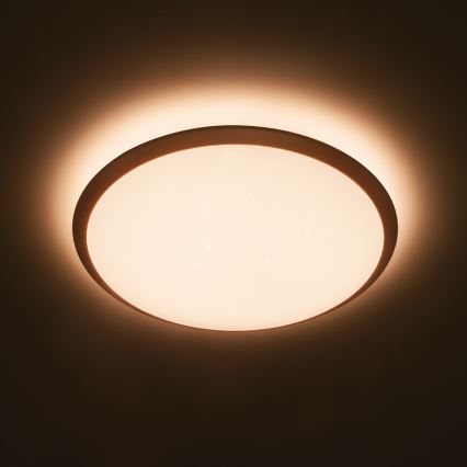 Philips - prigušiva LED plafonska svetiljka LED/18W/230V