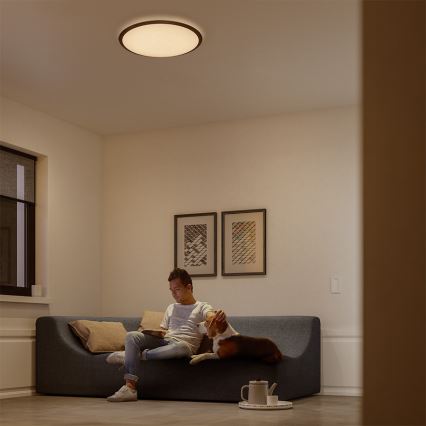 Philips - prigušiva LED plafonska svetiljka LED/18W/230V