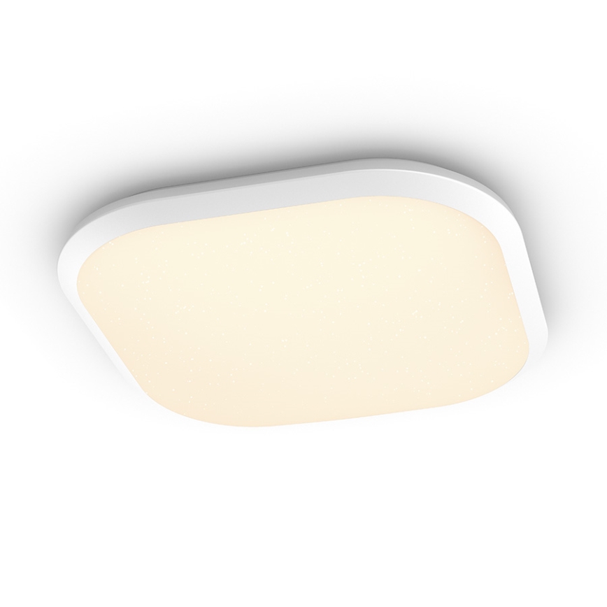 Philips - prigušiva LED plafonska svetiljka/18W/230V
