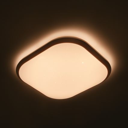 Philips - prigušiva LED plafonska svetiljka/18W/230V