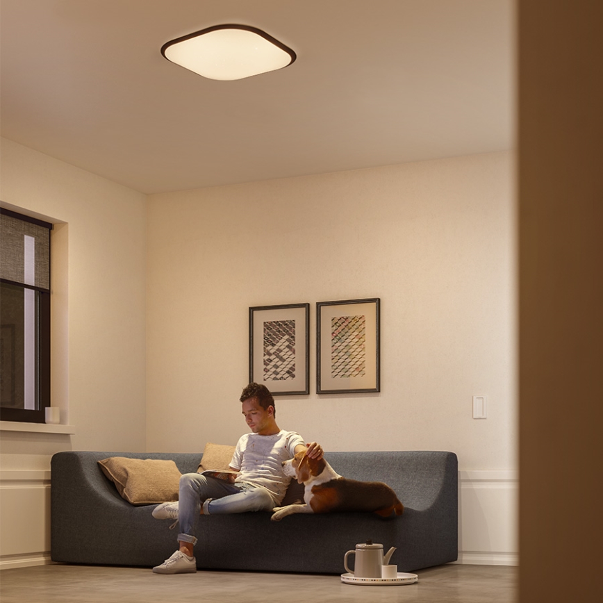 Philips - prigušiva LED plafonska svetiljka/18W/230V