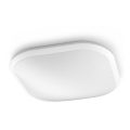 Philips 32810/31/P3 - LED prigušiva plafonska svetiljka CANAVAL LED/18W/230V
