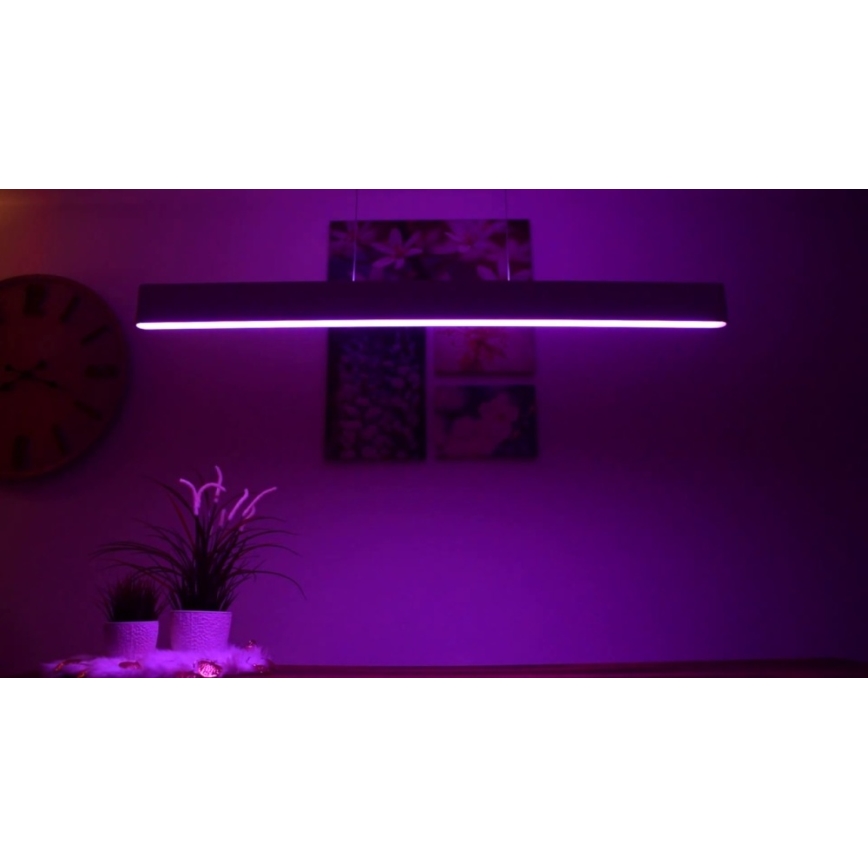 Philips -  LED RGBW prigušiva svetiljka na sajli Hue ENSIS White And Color Ambiance 2xLED/39W/230V
