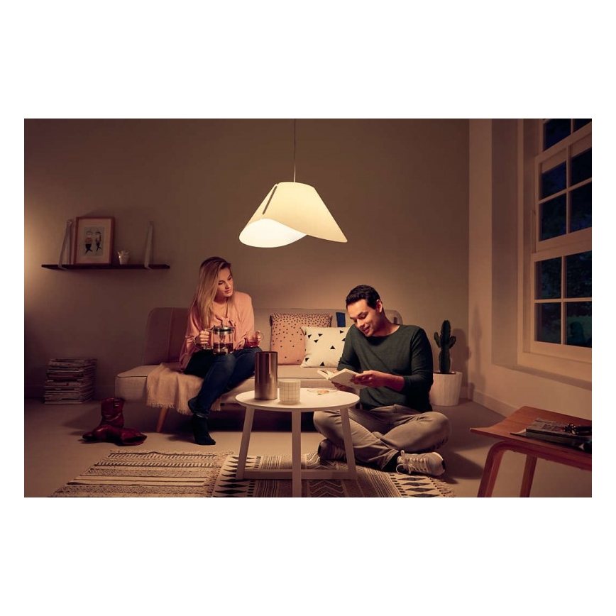 Philips - Viseće stropno svetlo E27/60W/230V