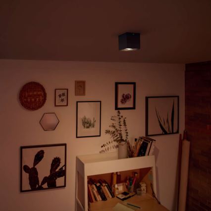 Philips - LED prigušiva spot svetiljka LED/4,5W/230V
