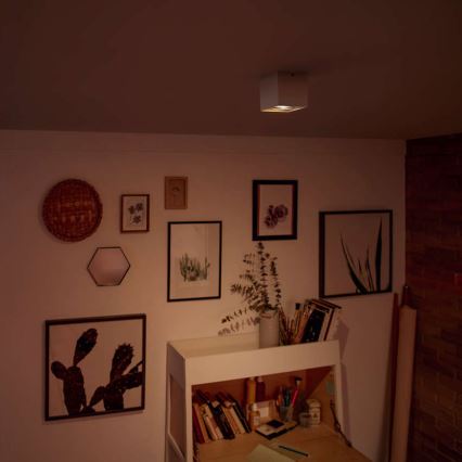 Philips - LED prigušiva ugradna spot svetiljka LED/4,5W/230V
