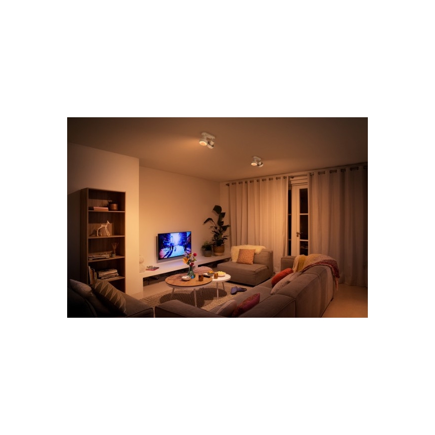 Philips 50602/31/P0 - LED spot svetlo BUKKO 2xLED/4,5W/230V