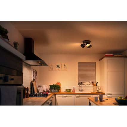 Philips 50603/30/P0 - LED prigušiva spot svetiljka BUKKO 3xLED/4,3W/230V