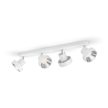Philips 50604/31/P0 - LED spot svetlo BUKKO 4xLED/4,3W/230V