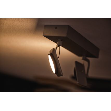 Philips 53192/48/P0 - LED spot svetlo MILLENNIUM 2xLED/4,5W/230V