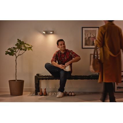 Philips 53192/48/P0 - LED spot svetlo MILLENNIUM 2xLED/4,5W/230V