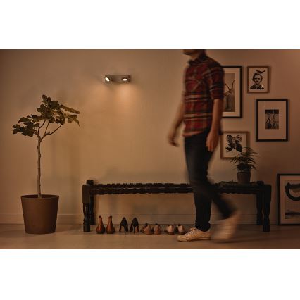 Philips 53192/48/P0 - LED spot svetlo MILLENNIUM 2xLED/4,5W/230V