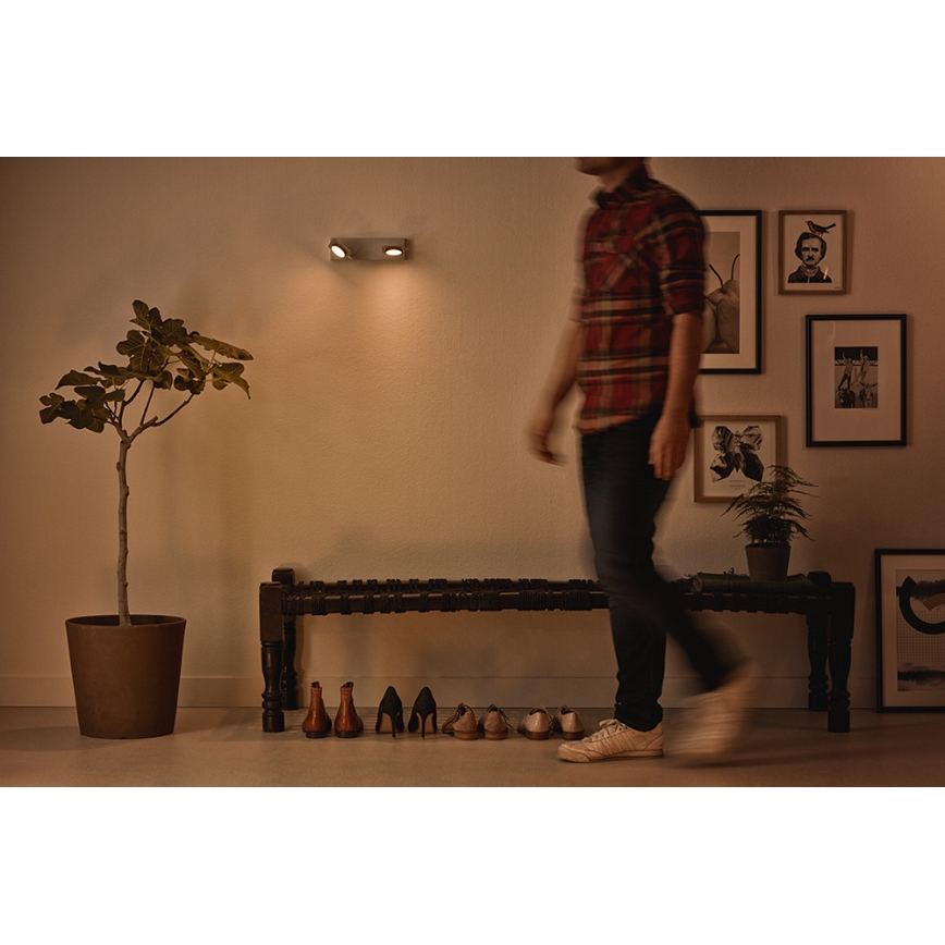 Philips 53192/48/P0 - LED spot svetlo MILLENNIUM 2xLED/4,5W/230V