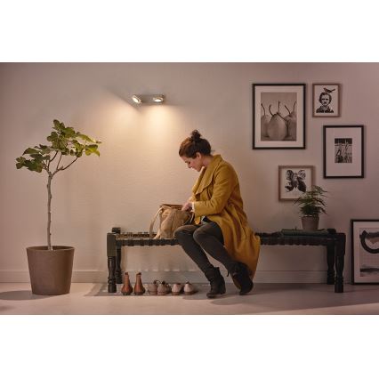 Philips 53192/48/P0 - LED spot svetlo MILLENNIUM 2xLED/4,5W/230V
