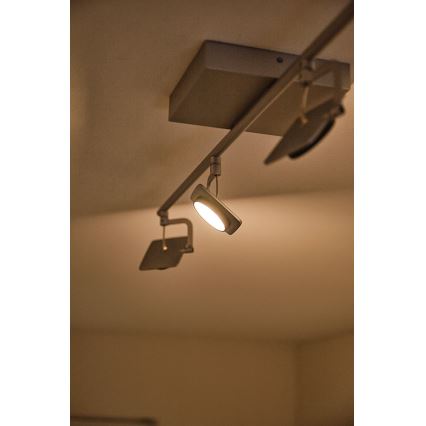 Philips 53194/48/P0 - LED spot svetiljka MILLENNIUM 4xLED/4,5W/230V