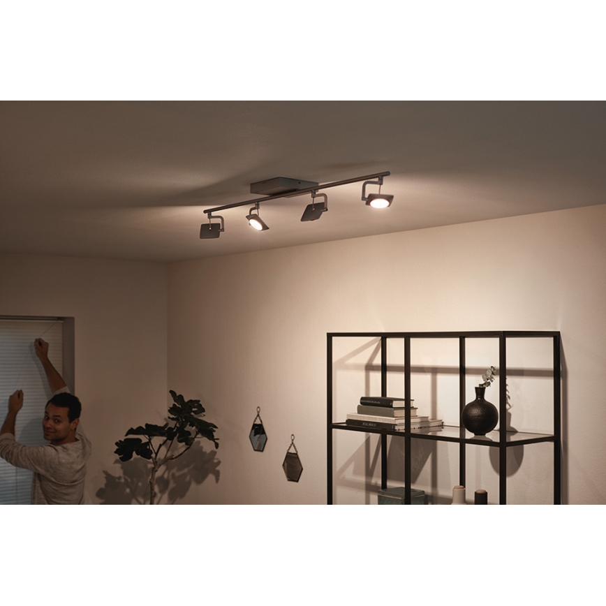 Philips 53194/48/P0 - LED spot svetiljka MILLENNIUM 4xLED/4,5W/230V