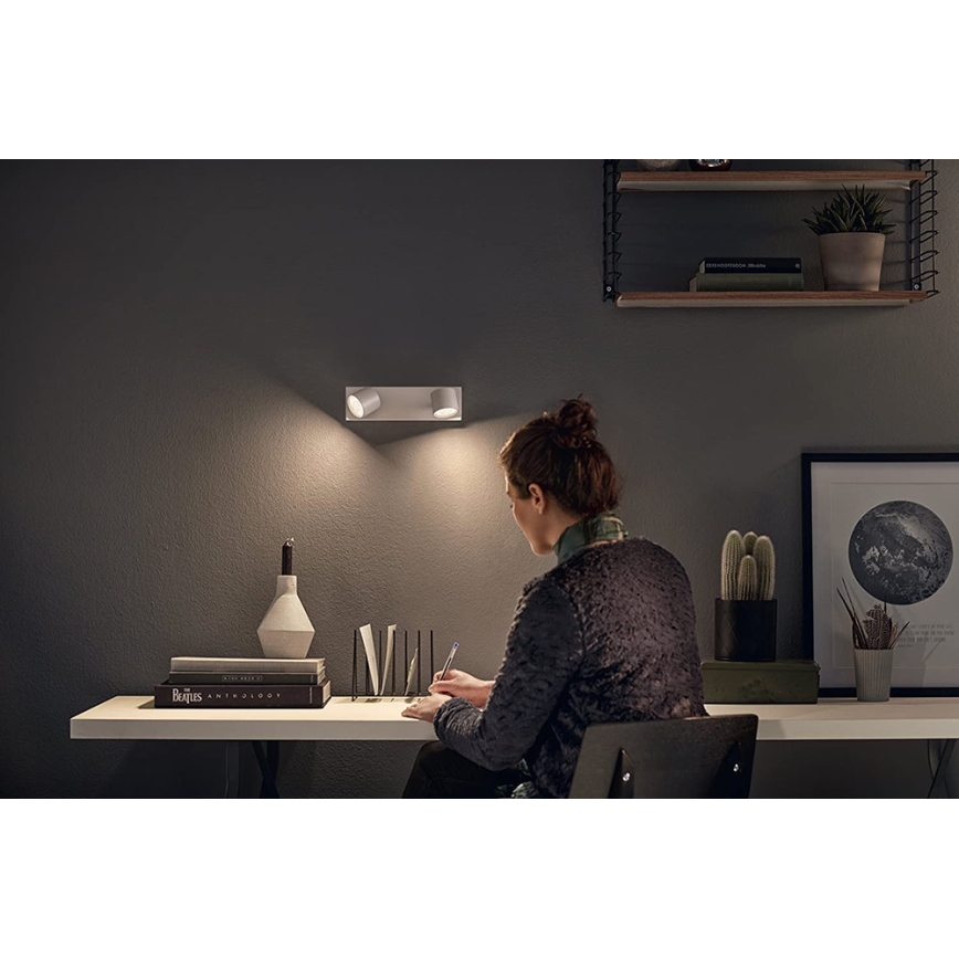 Philips 56242/31/P0 - LED prigušiva spot lampa STAR 2xLED/4,5W/230V