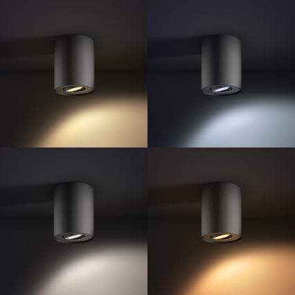 Philips - LED prigušiva reflektorska svetiljka Hue PILLAR 1xGU10/5,5W