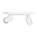 Philips - Kupatilsko spot svetlo IDRIS 2xGU10/5W/230V IP44 belo
