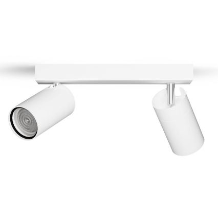 Philips - Kupatilsko spot svetlo IDRIS 2xGU10/5W/230V IP44 belo