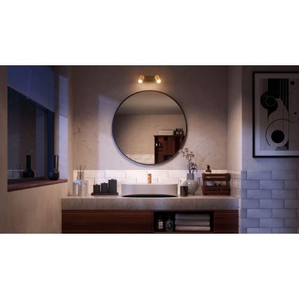 Philips - Kupatilsko spot svetlo IDRIS 2xGU10/5W/230V IP44 crno/zlatno