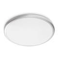 Philips - LED kupatilsko plafonsko svetlo LED/12W/230V IP44
