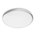 Philips - LED plafonsko svetlo 2700K, 12W, 230V