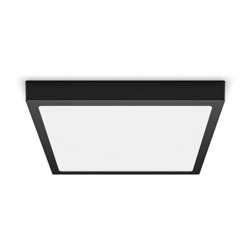 Philips - LED plafonsko svetlo LED/20W/230V 2700K crna