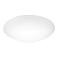 Philips - LED plafonsko svetlo LED/24W/230V