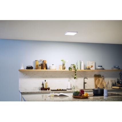 Philips - LED plafonsko svetlo LED/12W/230V 4000K belo