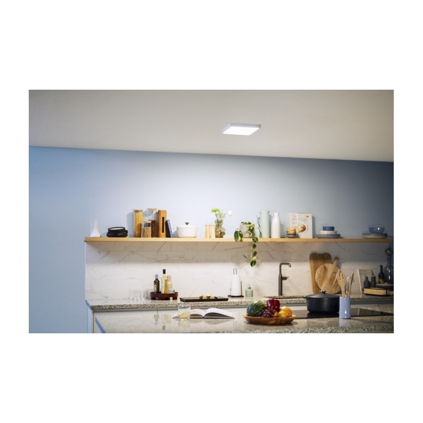 Philips - LED plafonsko svetlo LED/12W/230V 4000K belo