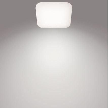 Philips - LED plafonsko svetlo LED/24W/230V 4000K