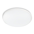 Philips - LED plafonsko svetlo TWIRLY LED/17W/230V