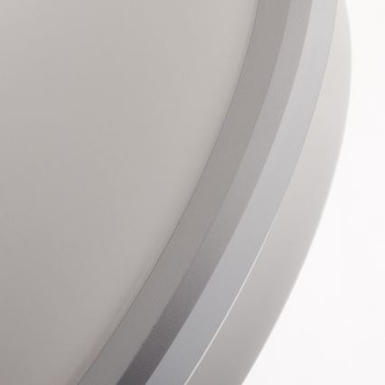 Philips - LED kupatilsko plafonsko svetlo LED/12W/230V IP44