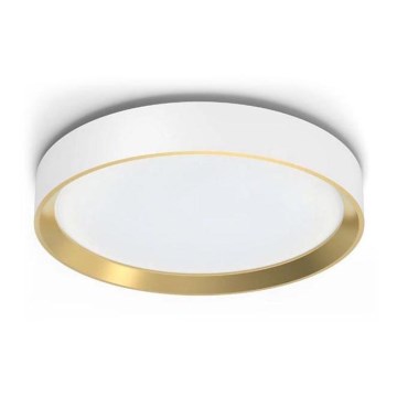 Philips - LED prigušiva plafonska lampa HANNO LED/24W/230V 2700K bela