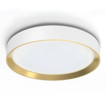 Philips - LED prigušiva plafonska lampa HANNO SCENE SWITCH LED/24W/230V 4000K bela