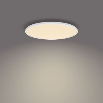 Philips - LED prigušiva plafonska svetiljka SCENE SWITCH LED/36W/230V, prečnik 50 cm, 2700K, bela