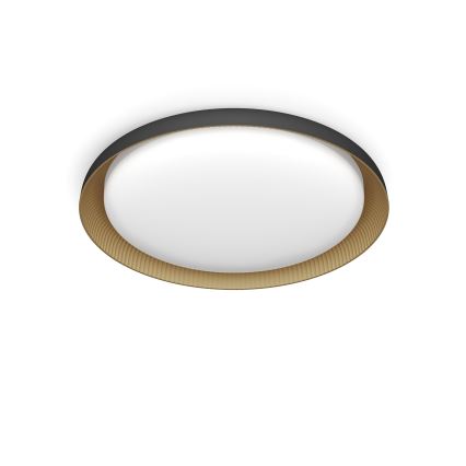 Philips - LED stropno svetlo PEBBLO SCENE SWITCH, prigušiva, LED/10W/230V 2700K, crna