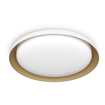 Philips - LED prigušiva plafonska svetiljka PEBBLO SCENE SWITCH LED/10W/230V 4000K bela